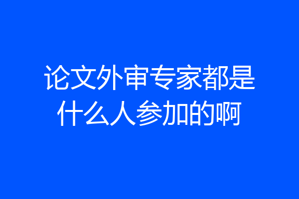 论文外审专家都是什么人参加的啊