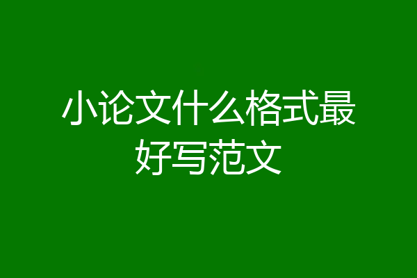 小论文什么格式最好写范文