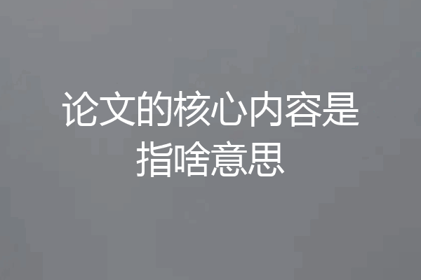 论文的核心内容是指啥意思