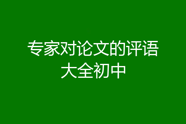 专家对论文的评语大全初中