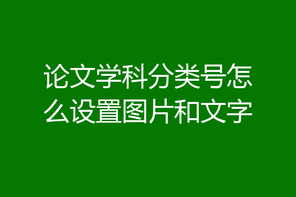 论文学科分类号怎么设置图片和文字