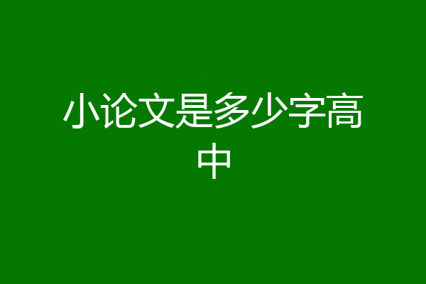小论文是多少字高中