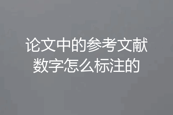 论文中的参考文献数字怎么标注的