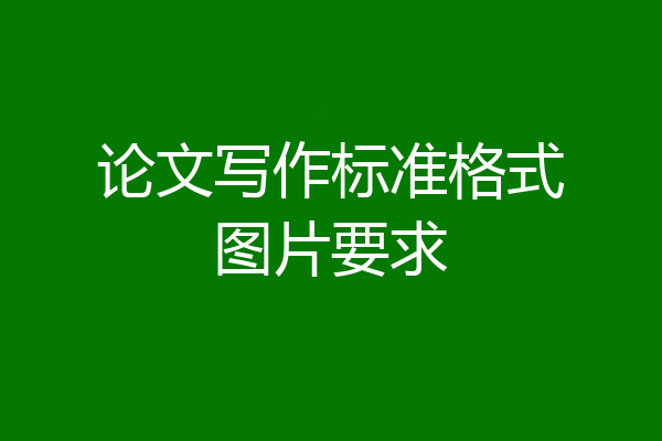 论文写作标准格式图片要求
