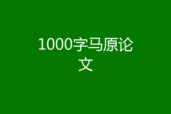 1000字马原论文