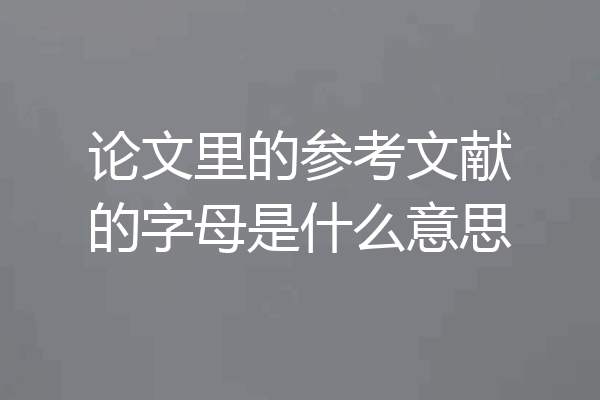 论文里的参考文献的字母是什么意思