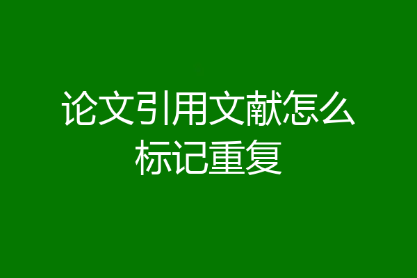 论文引用文献怎么标记重复