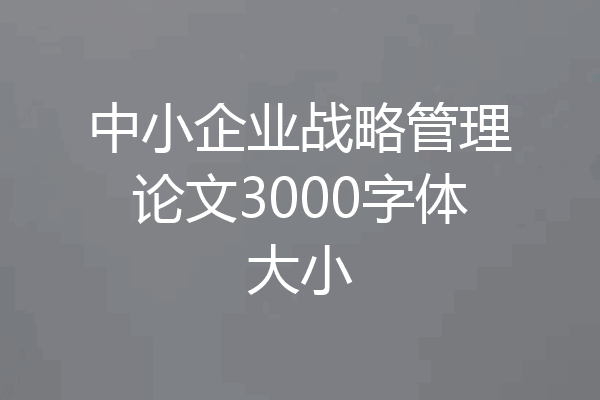 中小企业战略管理论文3000字体大小