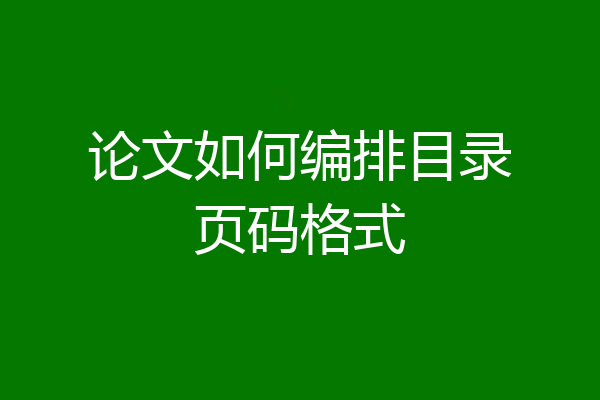 论文如何编排目录页码格式