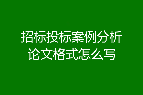 招标投标案例分析论文格式怎么写