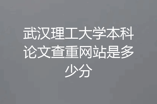 武汉理工大学本科论文查重网站是多少分