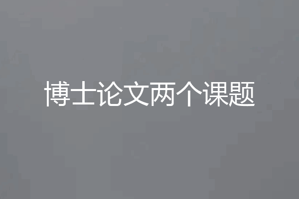 博士论文两个课题