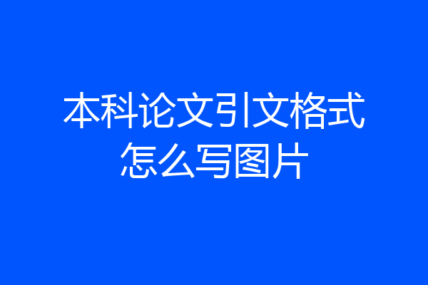 本科论文引文格式怎么写图片