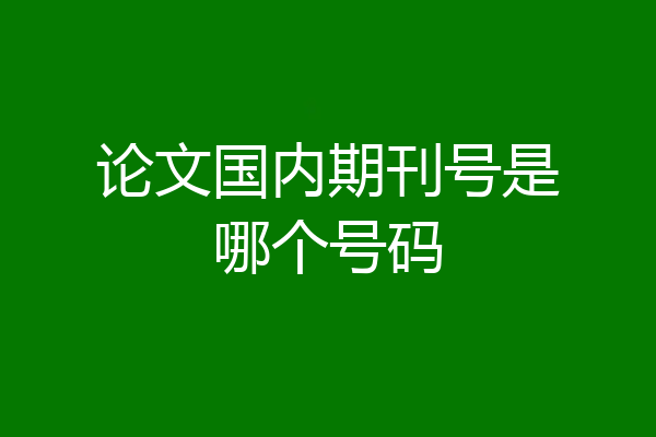 论文国内期刊号是哪个号码
