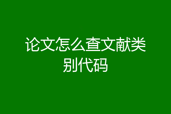 论文怎么查文献类别代码