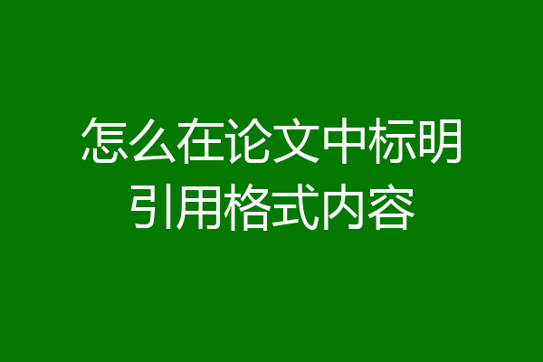 怎么在论文中标明引用格式内容