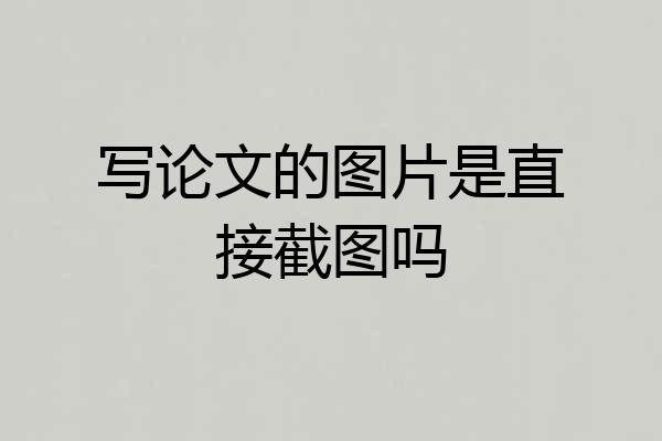 写论文的图片是直接截图吗