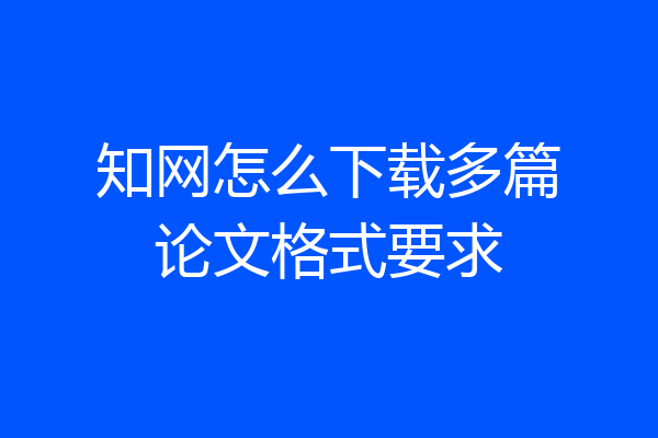 知网怎么下载多篇论文格式要求