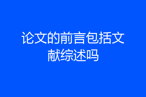 论文的前言包括文献综述吗