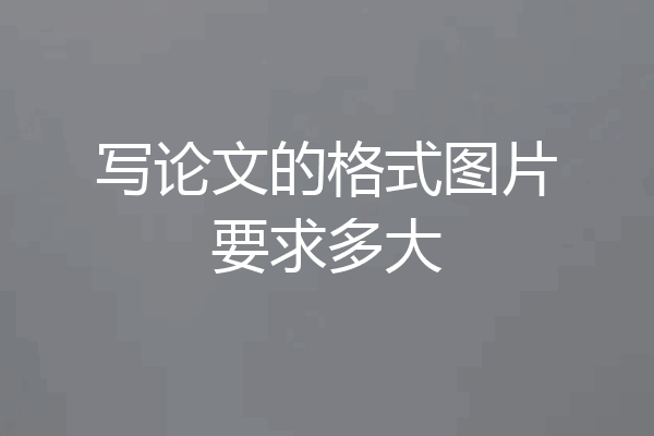 写论文的格式图片要求多大