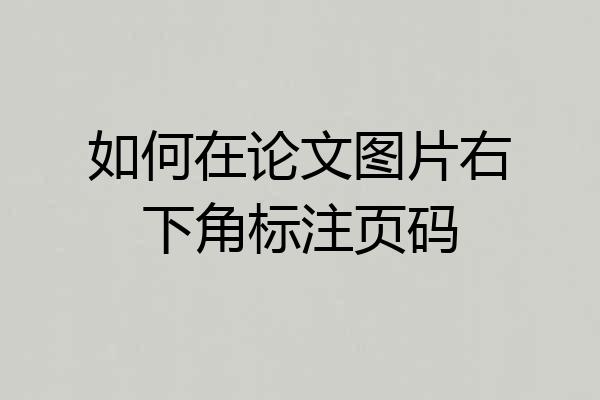 如何在论文图片右下角标注页码