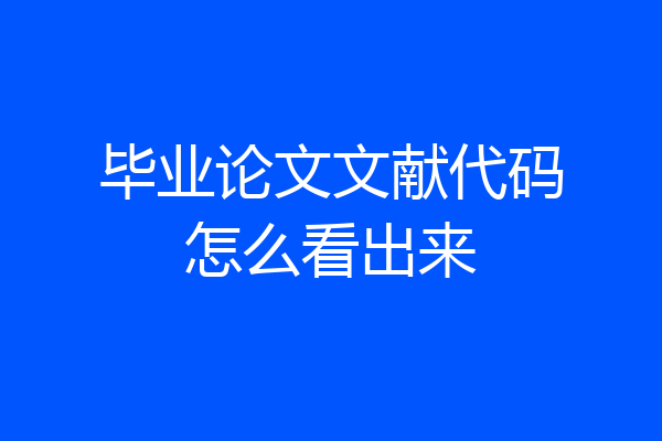 毕业论文文献代码怎么看出来