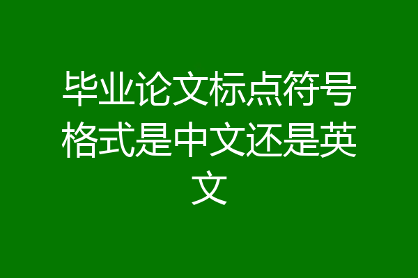 毕业论文标点符号格式是中文还是英文