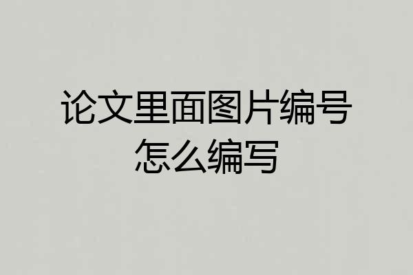 论文里面图片编号怎么编写