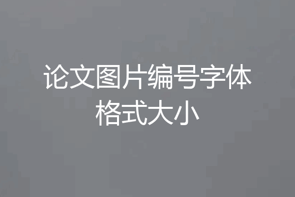 论文图片编号字体格式大小