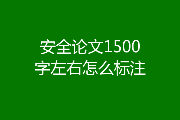 安全论文1500字左右怎么标注