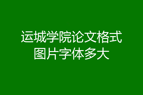 运城学院论文格式图片字体多大
