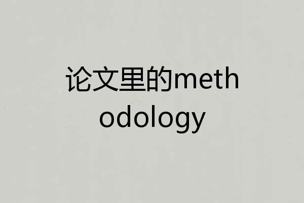 论文里的methodology