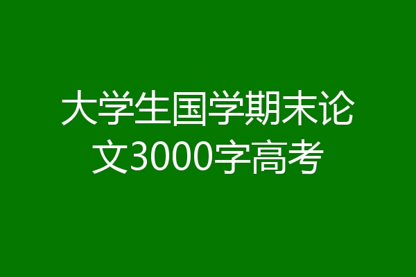 大学生国学期末论文3000字高考