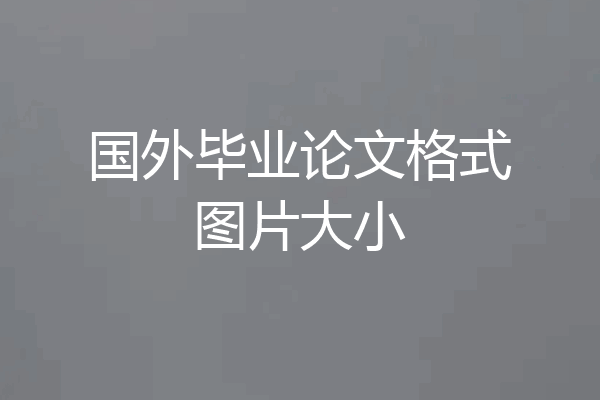 国外毕业论文格式图片大小