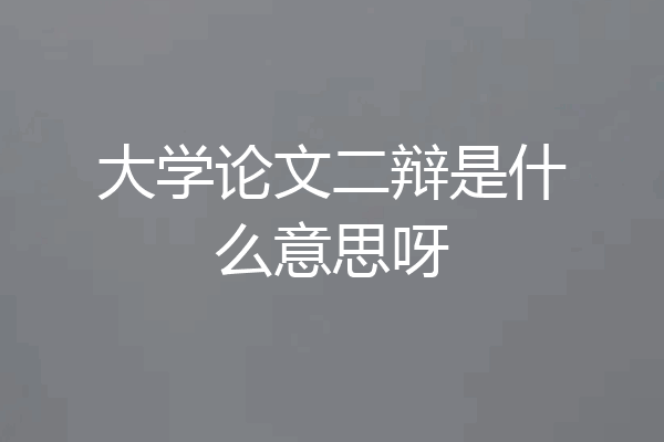 大学论文二辩是什么意思呀
