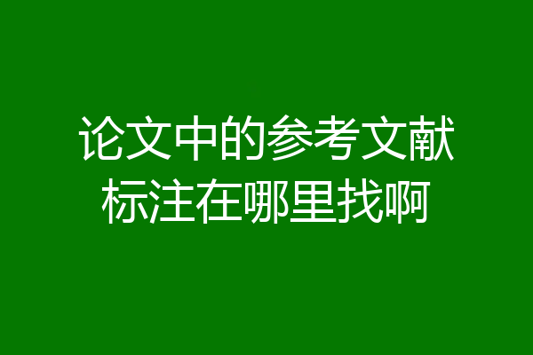 论文中的参考文献标注在哪里找啊