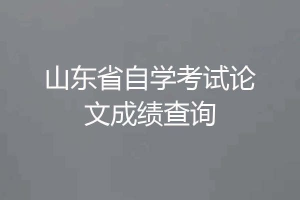 山东省自学考试论文成绩查询