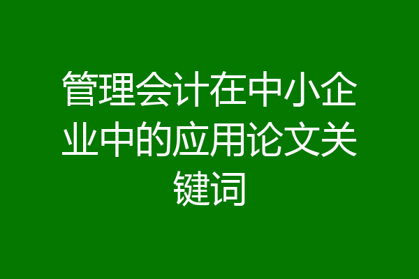 管理会计在中小企业中的应用论文关键词