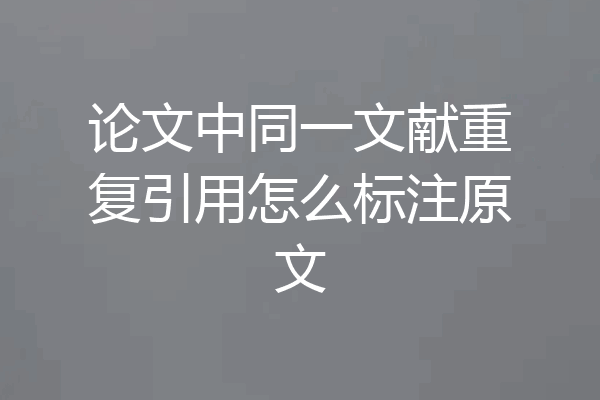 论文中同一文献重复引用怎么标注原文
