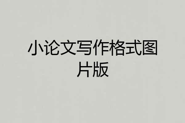 小论文写作格式图片版