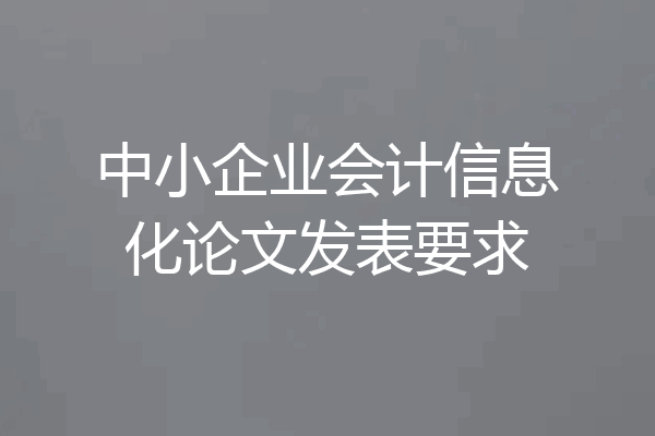 中小企业会计信息化论文发表要求