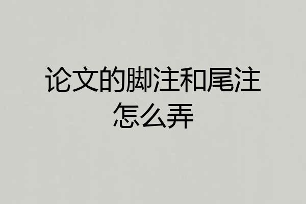 论文的脚注和尾注怎么弄