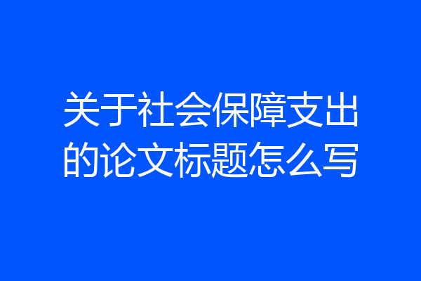 关于社会保障支出的论文标题怎么写