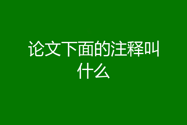 论文下面的注释叫什么