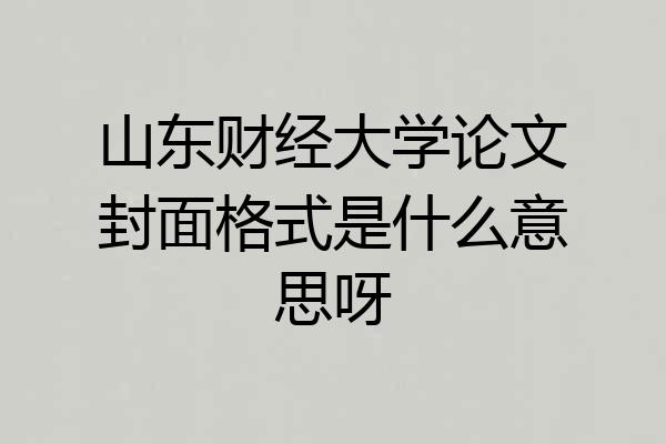 山东财经大学论文封面格式是什么意思呀