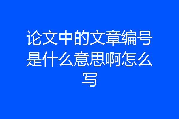 论文中的文章编号是什么意思啊怎么写