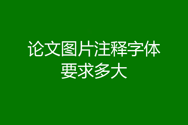 论文图片注释字体要求多大