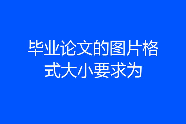 毕业论文的图片格式大小要求为