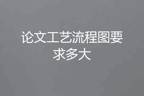 论文工艺流程图要求多大