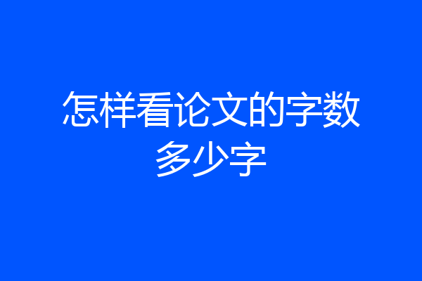 怎样看论文的字数多少字